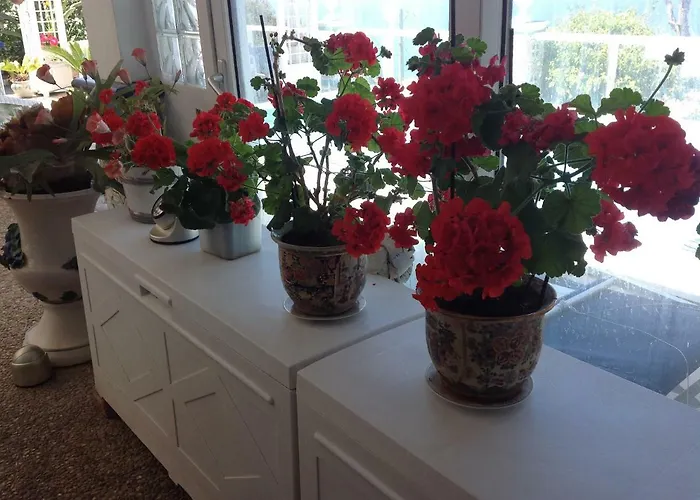 Bed and Breakfast La Guardia