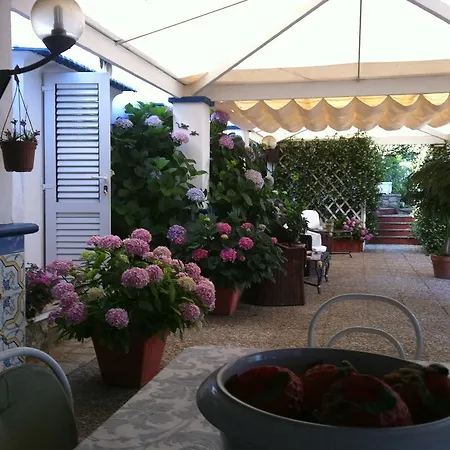 Bed & Breakfast La Guardia *